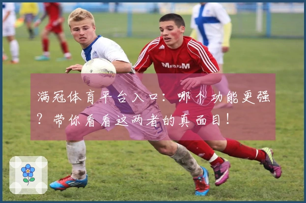 满冠体育平台入口：哪个功能更强？带你看看这两者的真面目！